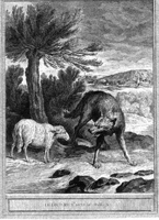 Le Loup et l&rsquo;Agneau